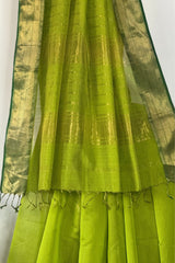 Glowing Green Tissue Stripes Saree with Zari Border