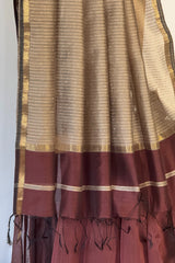 Regal Coffee Kosa Pallu Piping Saree